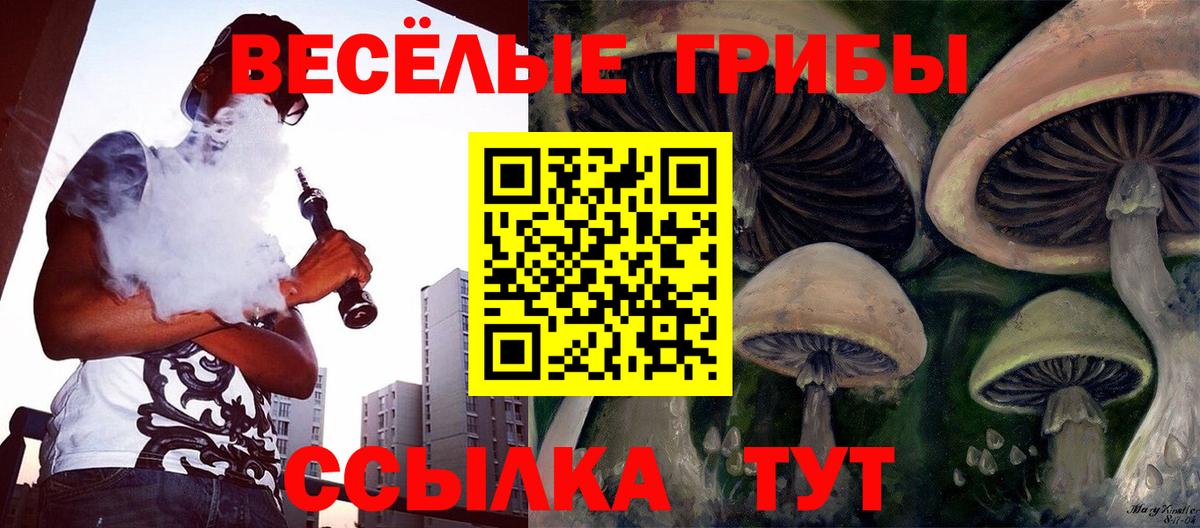 Псилоцибиновые грибы Magic Shrooms  Вход с VPN  Псилоцибиновые грибы прущие грибы  Кемерово 