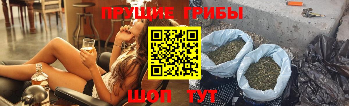 Псилоцибиновые грибы Psilocybine cubensis Кемерово